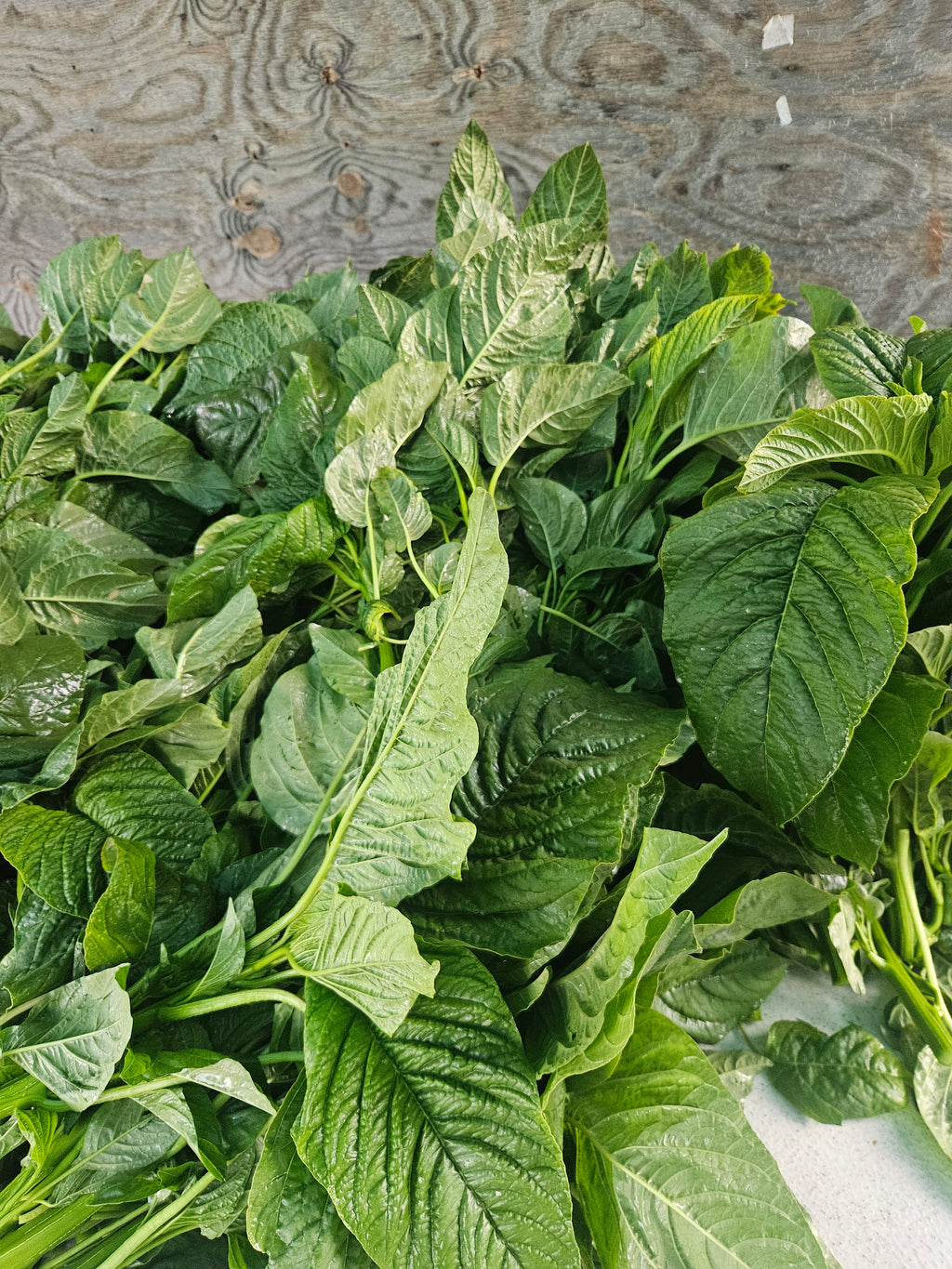 Calaloo