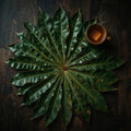 Soursop Leaves (Market Price)