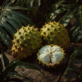 Soursop